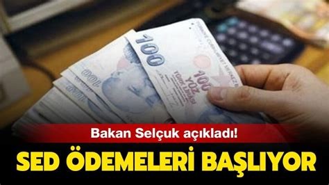 2023 HAZİRAN' SED yardımı ne zaman yatacak, yattı mı? SED yardımı e-Devlet SORGULAMA VE BAŞVURU EKRANI !!!