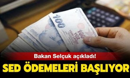 2023 HAZİRAN' SED yardımı ne zaman yatacak, yattı mı? SED yardımı e-Devlet SORGULAMA VE BAŞVURU EKRANI !!!