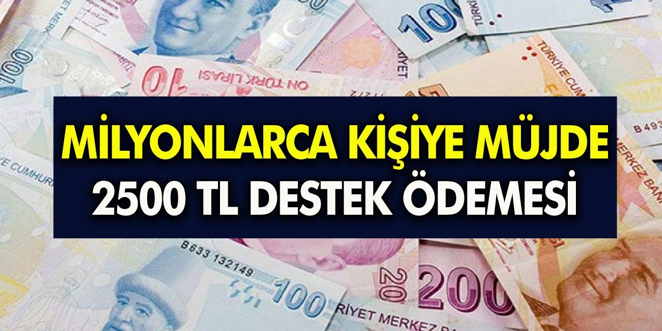 Aile Destek Ödemeleri Arttı! 2.500 TL'ye kadar hane başına para yardımı! BAŞVURMAK İÇİN...