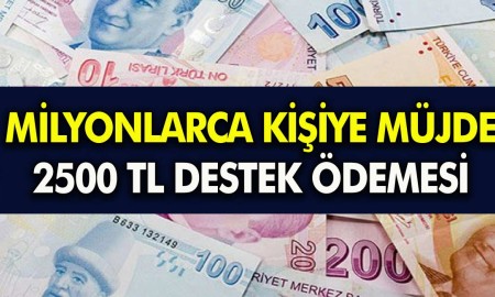 Aile Destek Ödemeleri Arttı! 2.500 TL'ye kadar hane başına para yardımı! BAŞVURMAK İÇİN...