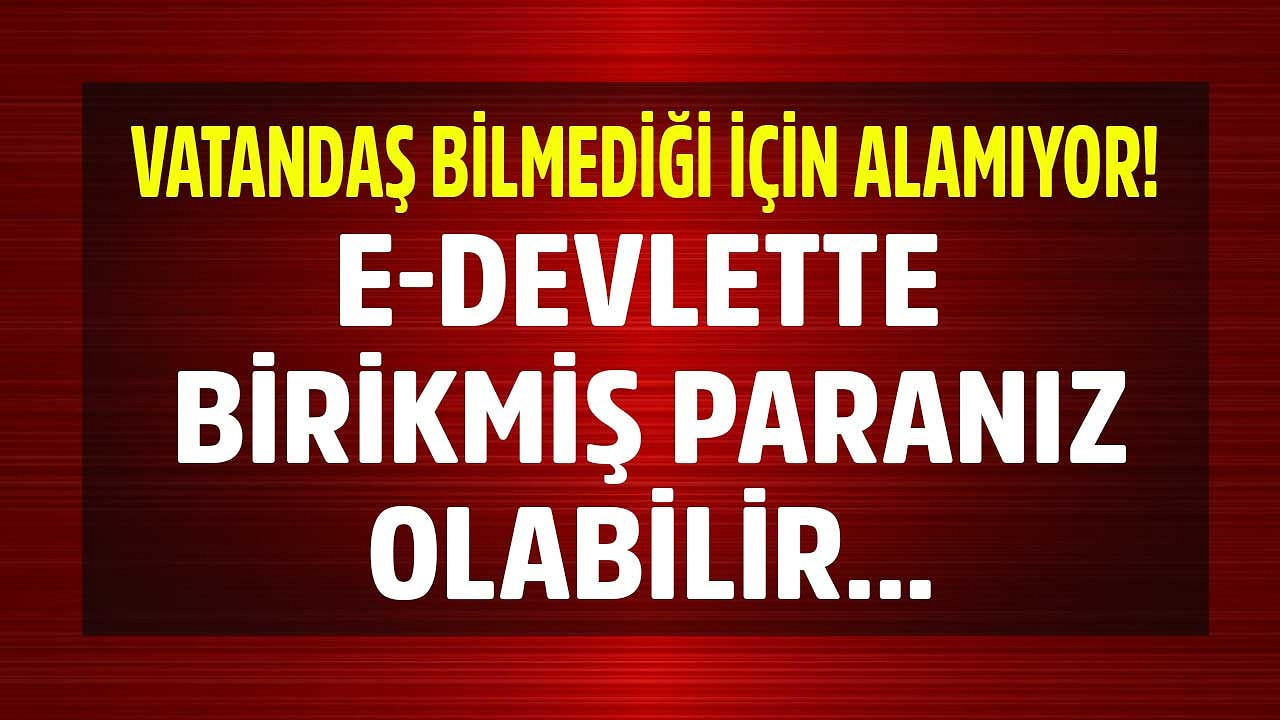 E-DEVLET BİRİKMİŞ PARA NASIL ALINIR ??