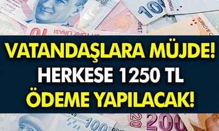 Gelirim Sensin com - 2022 Başvuru Yapan 1250 TL Yardım Parasını Alabilir