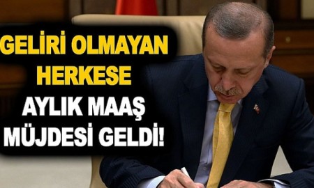 Maaşı, geliri, güvencesi olmayana devlet sahip çıktı: Aylık 2.089 lira maaş ve sosyal yardım verilecek!